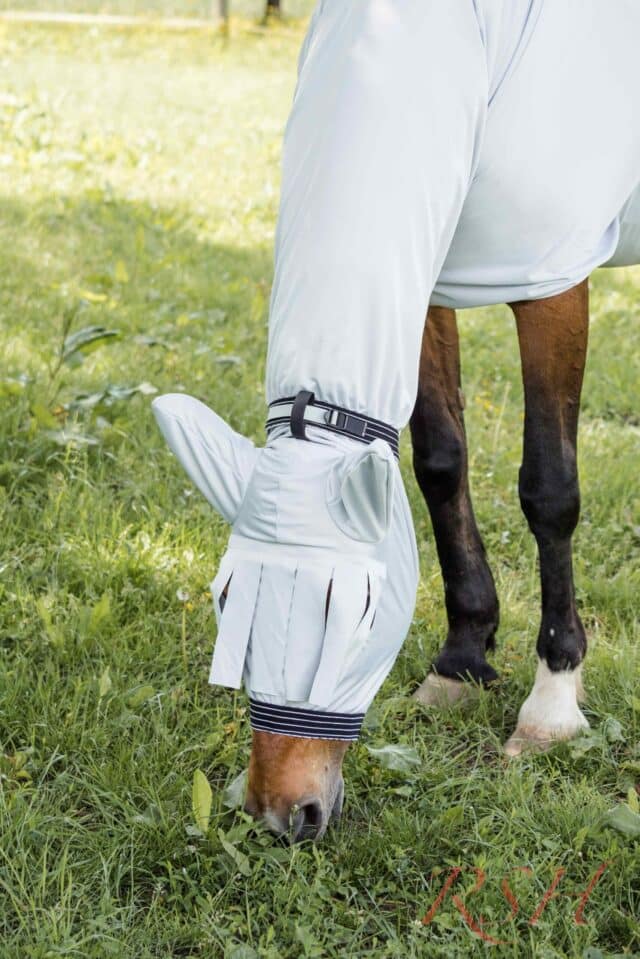 ekzemerdecken für pferde kopfschutz