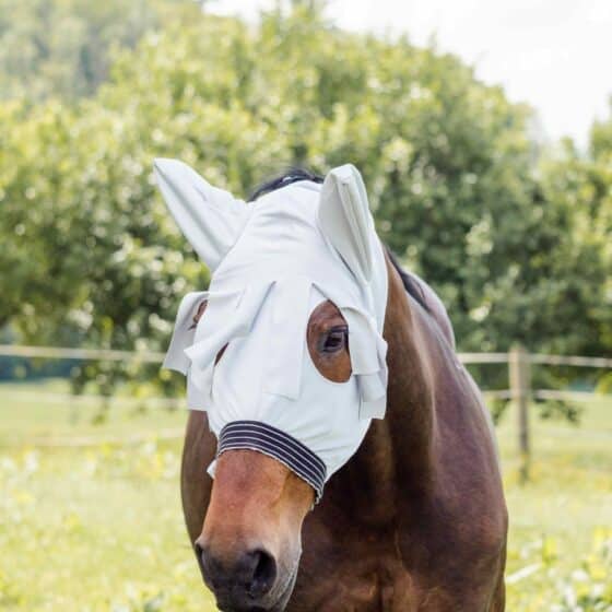 Kopfschutz ekzemerdecke für pferde