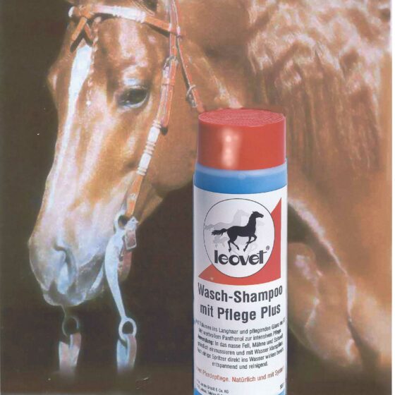Wasch Shampoo für Pferde