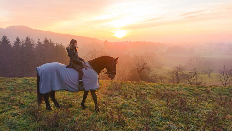 Eine Frau sitzt auf ihrem Pferd welches eine Ekzemerdecke trägt