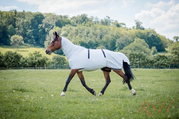 Pferd wird durch eine Ekzemerdecke vor Insekten und Hitze geschützt